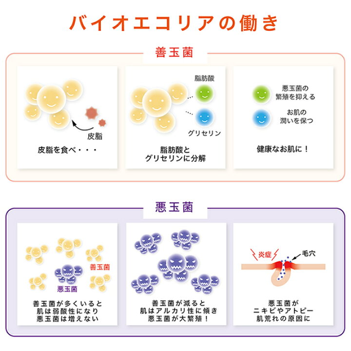 楽天市場 ボタニカルモイストローション 化粧水 アフターケア ハーブピーリング ハーブピール スポンジア マイクロニードル ピーリング パック ヤマト便発送 ボタニカルピール楽天市場店