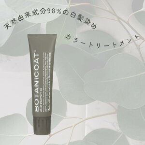 J[g[gg  wAJ[ I[KjbN ߕ  plC YJ[g[gg J[u[X^[ TT 悭܂