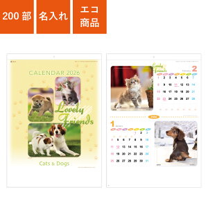 J_[ 200 1F 2026N Ǌ|J_[ B3 u[tY EL | W380×H535mm  SDB2106 | ̑ mxeB NNn A ߘa8N IWi Ж c̖ Ɩ 킢