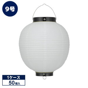 y501P[X̔z9ی^ /g rj[ | Tb209-7 24×36cm 傤