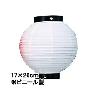 y4ȏ`zTb206-7 6ی^ rj[ /g | 17×26cm p 傤