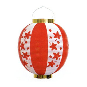 y10ȏ`zT1MO ڊ ݂ | | 25.5×H27cm | 傤