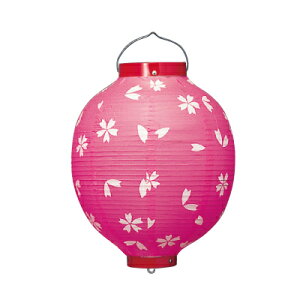 y2ȏ`zTb210-s  10ی^ rj[ | 27×40cm  傤