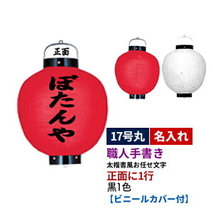 ynEl菑z17ی^ 1 1F rj[ S1 |  ʂ̂   傤 | Xܑ Ŕ Ղyrj[Jo[tz