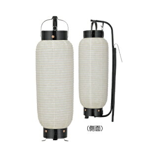 T529 ~^ ɑ| a | 15.5×50cm 傤