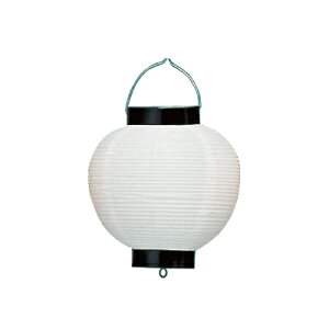 y4ȏ`zTy206-7 6 m /g | a17×24cm p 傤