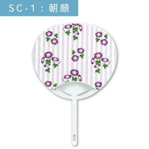  | c RpNgTCY 100{Zbg    Cxg mxeB ̑ zz | SC-1  Ђ܂  ԉ