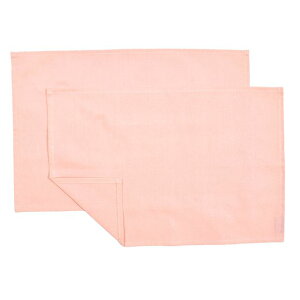 �y�䂤�p�P�b�g�z���z �����`�����}�b�g 2���Z�b�g ��100�� 30cm×44cm �X�^���_�[�h�^�C�v ���n�I�b�N�X �p�X�e���s���N �s���N �V���v�� ������� �����`�}�b�g �����`�N���X ���킢�� �e�[�u