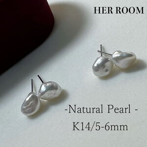 {^ sAX  k14 zCg CG[S[h v`i `^ 14 H A Y  w  w   V AEj v[g Mtg g  Ǝ 