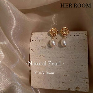 W^ p[ sAX tbNsAX CO `[ lC Mtg a o[Xf[ v[g LO j NX}X zCgf[ ̓ ޏ 蕨 l 킢 IP