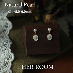 yyVX[p[SALE×N[|zzz̉ p[sAX W^ 5-6mm h Ԃ牺 JWA Vv w Mtg  fB[X ؚ p[eB[  s h