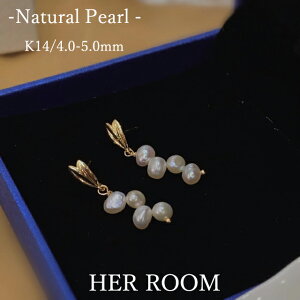 yyVX[p[SALE×N[|zzzWp[t[sAX 4 CO 4mm-5mm h  񎟉 XeX|Xg fB[X lۂ Vv 킢 h  