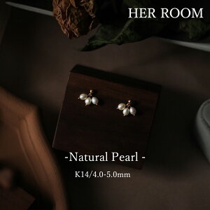 Iׂ VR Wp[ sAX CO AM[ jbPt[ 14kR[eBO fB[X h p[ l i ؚ ANZT[ WG[ lC s gh 