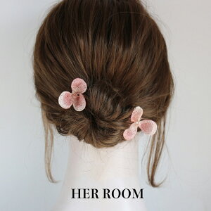 wAR[ AWTC̉ sNю ~jTCY g f[g o JWA ^ANZg 藯߂ V[gwA / {uwAΉ tF~j