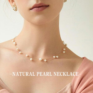 p[ lbNX fB[X A AM[Ή W^ `[J[ lq JWA jbPt[ i GKg ؚ Vv w  \ Ǝ ANZT