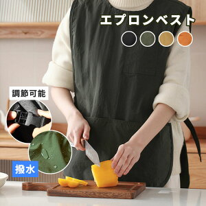 Gv xXg  h ƗpGv Y fB[X  y AEghA jp XK[ `jbN JtFG et Ɩp ۈm Lv Vv V[g [