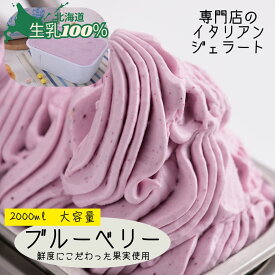 ジェラート ブルーベリーヨーグルト 北海道 新生活ギフト 2L 業務用 2000ml バルク 大容量 生乳100% 高級アイス ジェラテリアGigi スイーツ リピート ストック 話題 たっぷりサイズ カフェ イベント 学園祭 お取り寄せ 家族 大人買い 恵庭 専門店 ジジ チェルボ 北国