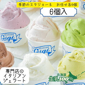 ジェラート 北海道 季節限定 スタジョーネ 6種 新生活 ギフト 生乳100% 高級アイス イタリアン お取り寄せ 内祝い ジェラテリアGigi 内祝い お歳暮 お中元 誕生日 人気 プレゼント 女性 ご褒美 プレミアム イタリア お取り寄せ スイーツ ジジ チェルボ 北国