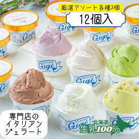 ジェラート 北海道 6種アソート 12個入 新生活ギフト ピスタチオ チョコレート 牛乳 ギフト 高級アイス イタリアン お取り寄せ ジェラテリアGigi 内祝い お歳暮 お中元 誕生日 人気 プレゼント 女性 ご褒美 プレミアム お取り寄せ スイーツ 専門店 ジジ チェルボ 北国