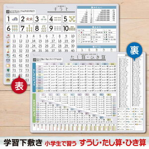 ~  Z ЂZ A4(21×29.7cm) ʃ^Cv vZK 100eXgt wK|X^[ q Z