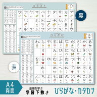 下敷き ひらがな カタカナ A4 (21×29.7cm) 両面タイプ 名詞 イラスト付き 五十音表 読み書き 子供 学習…