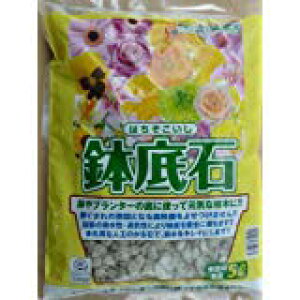 [@KX琶܂ꂽ΁ie5bgj #Y