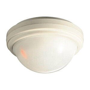 IvebNX[SX-360Z(J)]-EVtpbVuZTȂhƁEhЃObYʔ̏