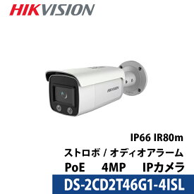 HIKVISION（ハイクビジョン）防犯カメラ IP CAMERA ネットワーク・カメラ 2.8mm DS-2CD2T46G1-4I/SL【送料無料】【あす楽対応】