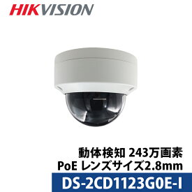 動体検知 HIKVISION 防犯カメラ IP 屋外屋内 カメラ電源不要 スマホ監視 PoE DS-2CD1123G0E-I 243万画素 ドーム型 レンズサイズ2.8mm 送料無料 あす楽