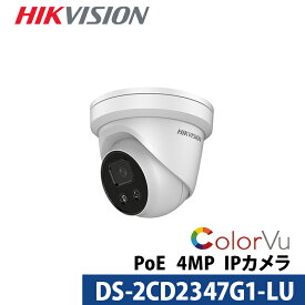 防犯カメラ IP CAMERA Colorvu DS-2CD2347G1-LU 4mm 4メガピクセル WDR タレットネットワークカメラ 【送料無料】【あす楽対応】