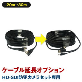 【HD-SDIセット専用】 HD-SDIセット用ケーブル延長オプション（20mから30mへ延長） 【セット同梱専用オプション】