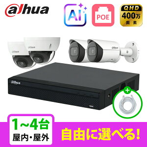 �y��g�q�Ɂz[DAHUA][IP-4M] AI �h�ƃJ���� 400����f 4POE 4���K 1~4�� ���Ȑݒu �h�ƃJ�����Z�b�g NVR2104HS-P-4KS3, IPC-HDBW2431E-S-S2, IPC-HFW2431S-S-S2