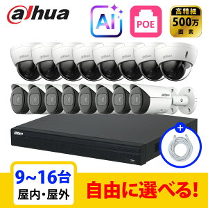 �y��g�q�Ɂz[DAHUA][IP-5M] �h�ƃJ���� 500����f AI 16POE 5���K 9~16�� ���Ȑݒu �h�ƃJ�����Z�b�g NVR4216-16P-4KS3, IPC-HDBW2541E-S, IPC-HFW2541S-S