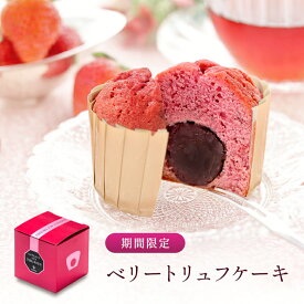 ブールミッシュ 期間限定 ベリートリュフケーキ 1個入り《BF-1》『常温配送・焼き菓子』バレンタイン バレンタインデー お配り用 プチギフト 退職 ギフト 500円以下 プレゼント おみやげ 二次会 サンクスギフト 記念品 お返し 【 10箱以上で送料無料 】