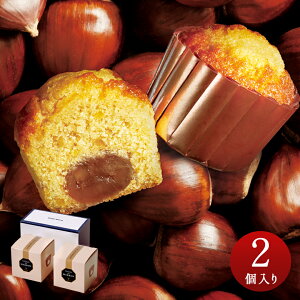 َq lߍ킹  Ԃ  j 蕨 yY v[g v`Mtg ސE ݂₰ 񎟉 TNXMtg LOi GM-2 Kg[EIE} 2 1000~ȉ |Cg 