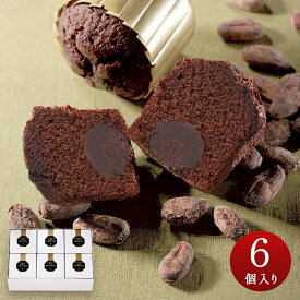 お菓子 詰め合わせ 個包装 スイーツ 内祝 お返し 御礼 お祝い プレゼント ギフト お取り寄せ 贈り物 お土産 御供 お供え 二次会 サンクスギフト 記念品 TF-6 トリュフケーキ 6個入り ブールミッシュ 洋菓子 焼き菓子 吉田菊次郎