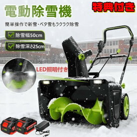 【1月17日-24日限定★10%OFFクーポン】除雪機 手押し式 充電式 電動除雪機 コードレス除雪機 小型 家庭用 LEDライト付き 除雪器具 軽量 雪かき 電動スコップ 安全スイッチ 除雪器具 大容量バッテリー 除雪高25cm 除雪幅50cm 降雪 清掃 投雪 庭 駐車場 保管が簡単