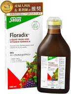 賞味期限　2028.02【医師推奨】鉄分サプリ フローラディクス 500ml 30日分 鉄分ドリンク Floradix 鉄補給…