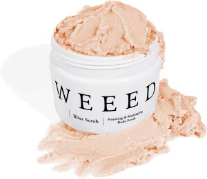 WEEED EB[h uXXNu x_[&oj̍ p { {fBXNu \g E jLr\h ێ {fB[\[v {fBPA {fBEHbV 360g