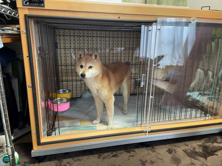 楽天市場 防音ケージカバー ５ キャスター付き 犬ケージ ペット 防音 騒音 犬用 ケージカバー ペット ケージ 猫 パネル 犬 無駄吠え 対策 ネコ 鳴き声 吠え ペット用品 ゲージカバー ペットゲージ 夜 夜鳴き 防音パネル 夜泣き カバー 防音カバー 防音材 吸音材