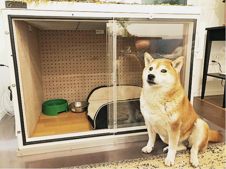 楽天市場 防音ケージカバー５ ウッディー ペット 防音 ケージカバー 騒音 犬 ネコ 猫 鳴き声 吠え 対策 ペットグッズ ゲージカバー ペットゲージ 犬ケージ カバー 夜鳴き 防音パネル 夜泣き 夜 安心 静か 防音カバー 吸音カバー マンション 賃貸 ペットケージ ペット