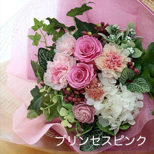 vU[uht[  v[g Mtg ԑ u[`Fv wj u[P   e ԑ ʉ uU[ht[ ސEj j N a j Ԃ y 