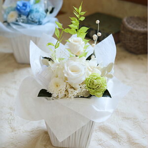 vU[uht[    ~ ފ   ~ ~   ͂Ȃ uƗƑuƗDv Mtg ʉ v[g uU[ht[ t[Mtg y