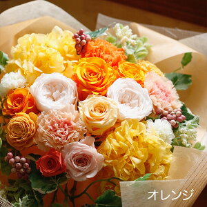 vU[uht[  v[g Mtg vU[uht[̉ԑ utBI[v u[P EFfBO  e ԑ ʉ uU[ht[ ސEj j N a