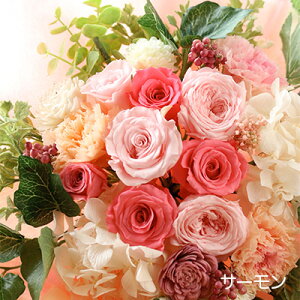 vU[uht[  v[g Mtg vU[uht[̉ԑ utBI[v u[P EFfBO  e ԑ ʉ uU[ht[ ސEj j N a