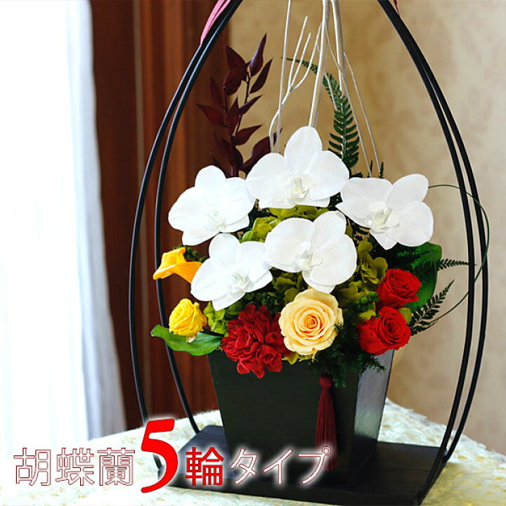 楽天市場 プリザーブドフラワー 花 ホワイトデー 胡蝶蘭 プレゼント ギフト 和風 結び胡蝶蘭 皐月 5輪タイプ ブリザードフラワ 古希 喜寿 傘寿 米寿 卒寿 白寿 祝い 結婚式 プレゼント 花 退職祝い 定年 誕生日 結婚祝い お供え プリザーブドフラワー