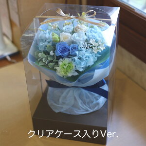 vU[uht[  v[g Mtg ԑ ut[EOv wj u[P EFfBO   e ԑ ʉ uU[ht[ ސEj j N a