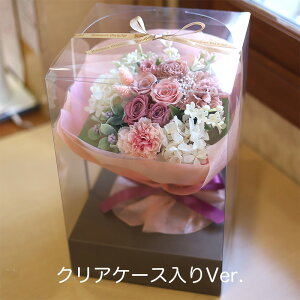 vU[uht[  v[g Mtg ԑ ut[EOv wj u[P EFfBO   e ԑ ʉ uU[ht[ ސEj j N a