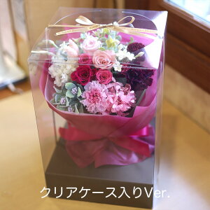 vU[uht[  v[g Mtg ԑ ut[EOv wj u[P EFfBO   e ԑ ʉ uU[ht[ ސEj j N a