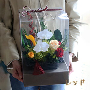 vU[uht[  v[g Mtg a uĂ̌Ӓv a Mtg  ʉ  uU[ht[ ސEj j N a j Ԃ ~ ~ t[Mt